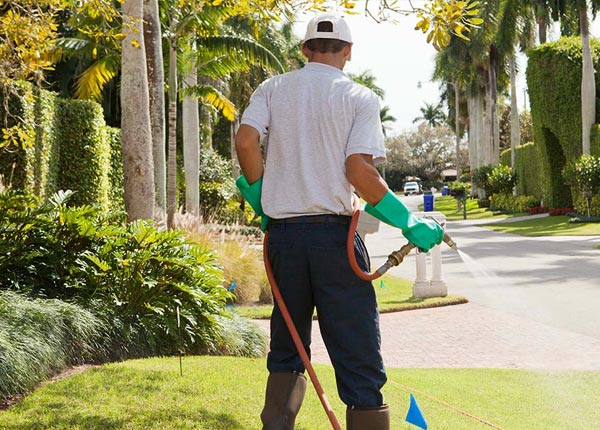About Somers CT Pest Control